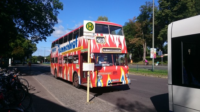 Bus til påfugleøen berlin